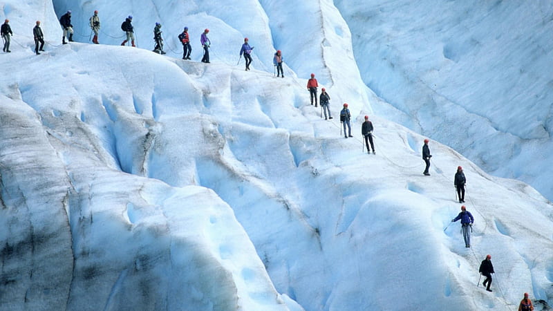line of hikers on glacier in norway, ice, crevices, glacier, hikers, HD wallpaper