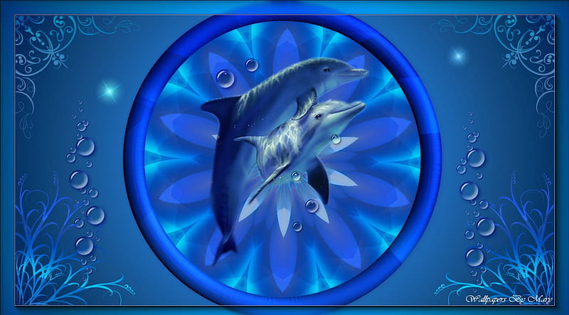 Beautiful Blue 1600x900, dolphin, dolphins, fish, marinelife, animals, HD wallpaper