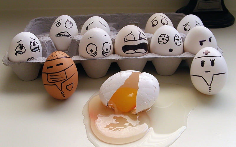 egg disaster, disaster, egg, funny, entertainment, HD wallpaper