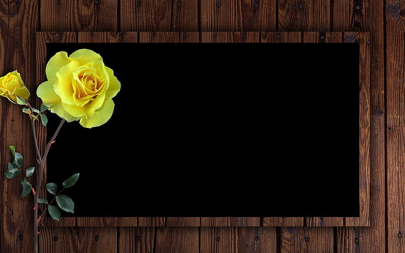 :-), brown, rose, frame, flower, black, yellow, wood, card, HD wallpaper