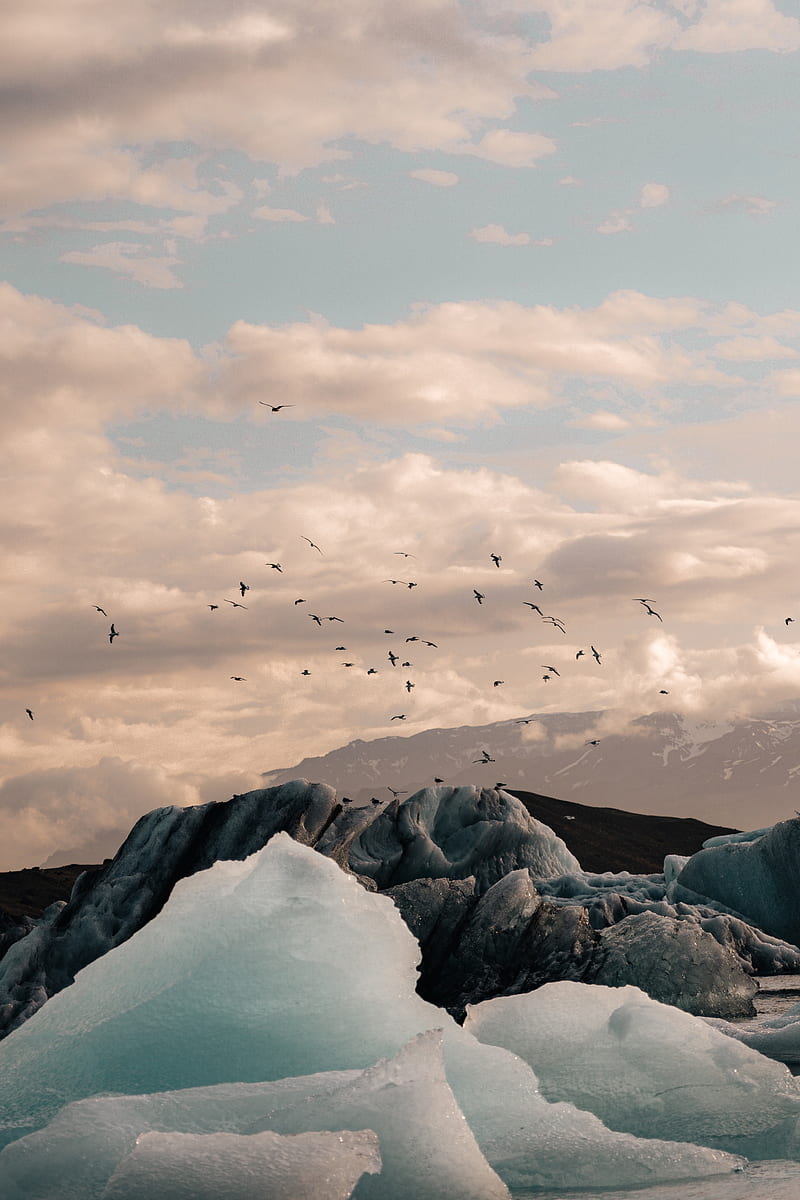 ice, ice floes, rocks, birds, mountains, HD phone wallpaper