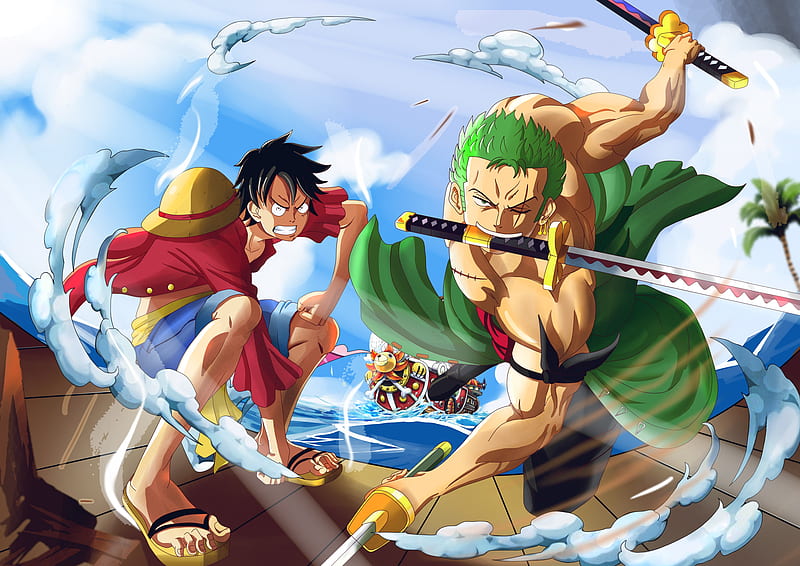 One Piece, Monkey D. Luffy , Roronoa Zoro , Thousand Sunny, HD wallpaper
