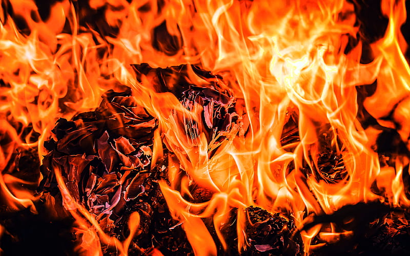 fire textures, burning backgrounds, fireplace, bonfire, fire flames, orange fire texture, fire backgrounds, HD wallpaper