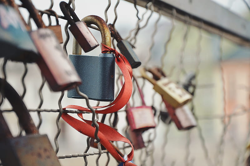 selective focus graphy of padlock on chain link fence, HD wallpaper