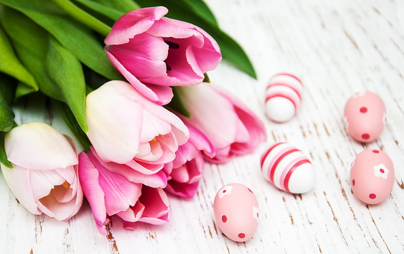 Holiday, Easter, Easter Egg, Flower, Pink Flower, Tulip, HD wallpaper