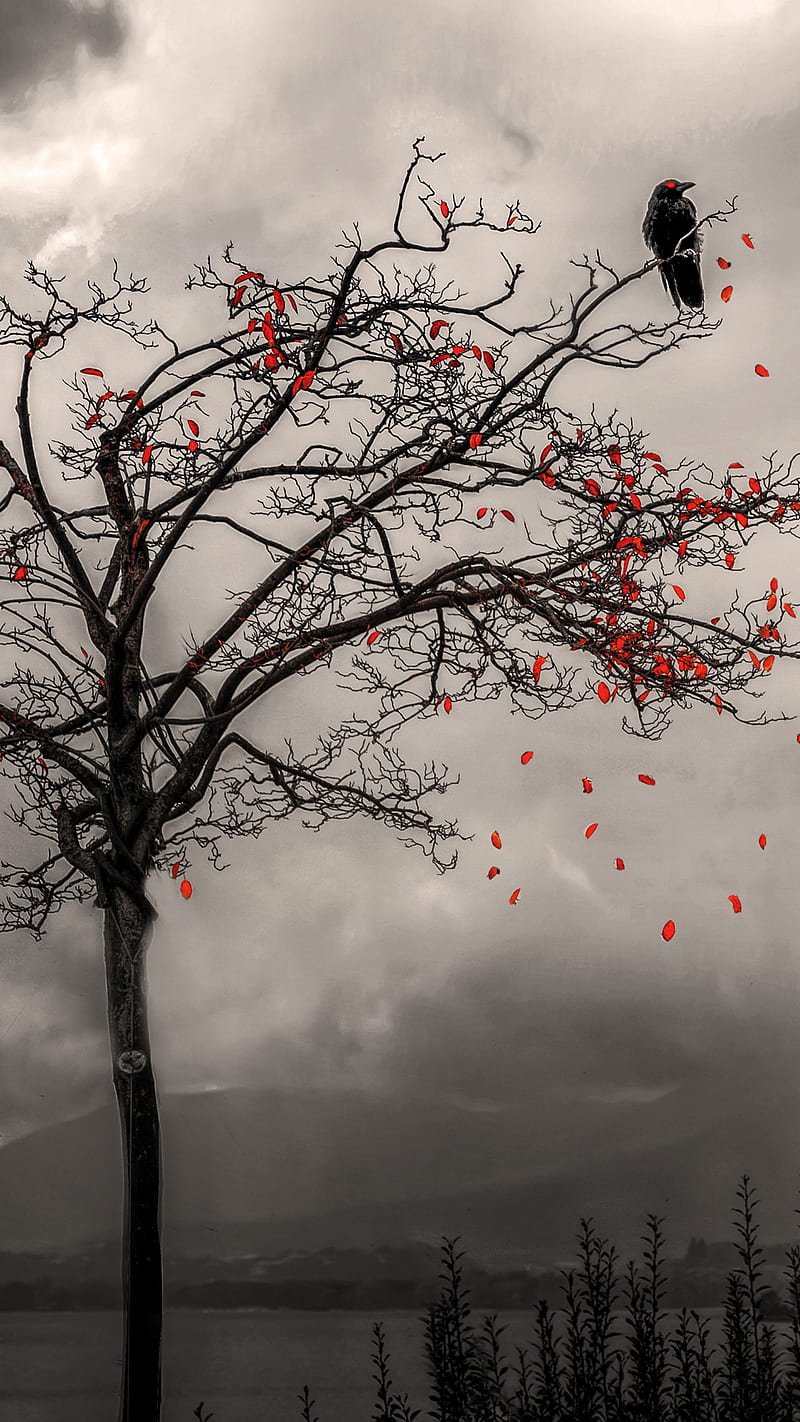 Art of dying, abstract, art, artwork, creepy, crow, death, goth, gothic, leaves, scary, spooky, tree, HD phone wallpaper