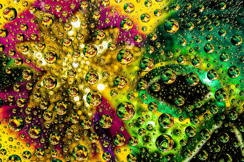 abstraction, bubble, drops, colorful, HD wallpaper