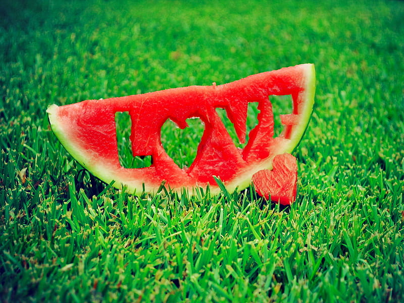Love piece, water melon, romantic, grass, piece, gift, green, love, funny, field, HD wallpaper