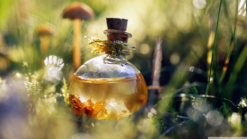 Unreal reality, essence, magic, spring, abstract, potion, graphy, macro, fairy, enchanted, HD wallpaper