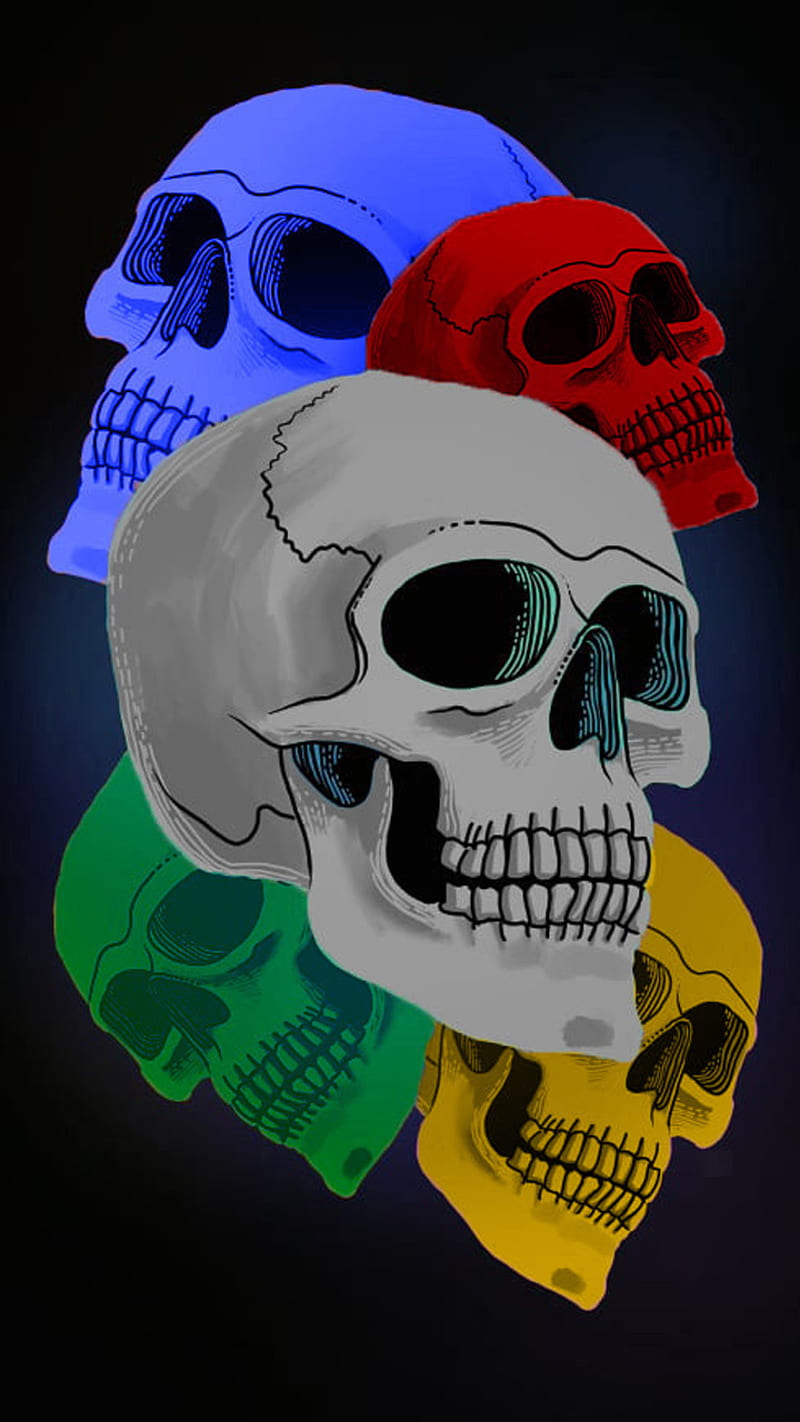 Cráneo, anatomía, blanco, color, colores, gris, grises, nada, , blanco,  Fondo de pantalla de teléfono HD | Peakpx