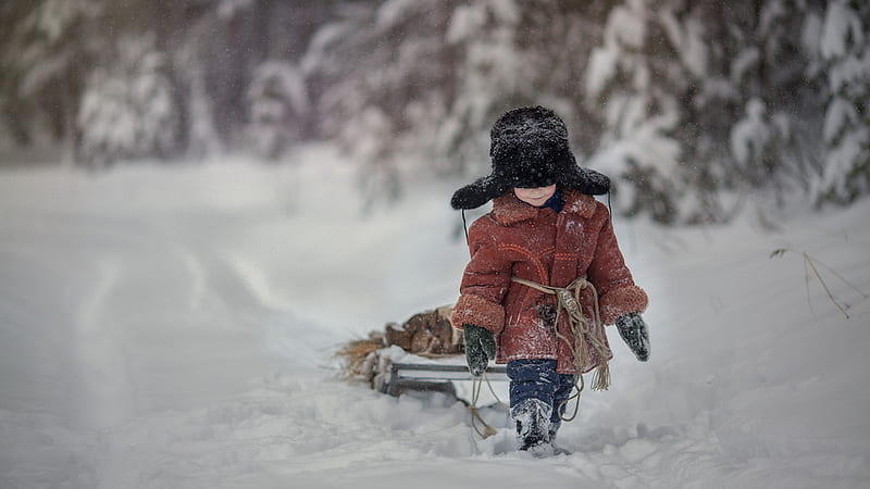 lets play, nature, child, snow, winter, HD wallpaper