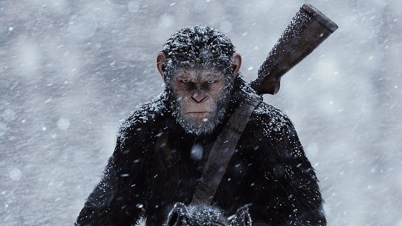 War For The Planet Of The Apes 2017 Movie, war-for-the-planet-of-the-apes, 2017-movies, movies, HD wallpaper