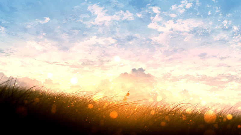 anime landscape, sunset, bokeh, field, clouds, plants, anime girl, Anime, HD wallpaper