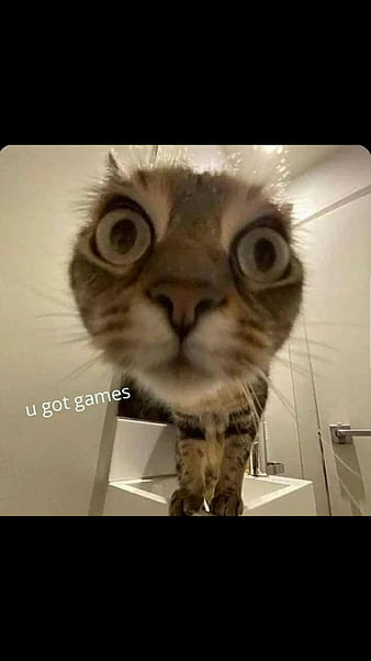 kids be like you got games on your phone quotes