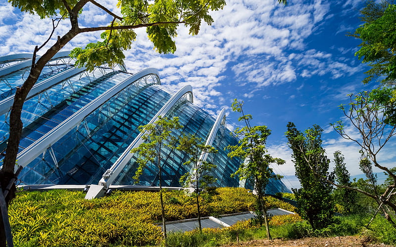 Gardens by the Bay, nature park, Singapore, modern architecture, glass roof, HD wallpaper