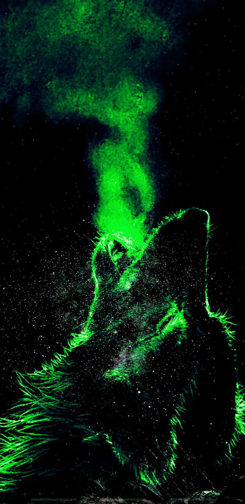 Green Wolf In Space, dark, galaxy, HD phone wallpaper