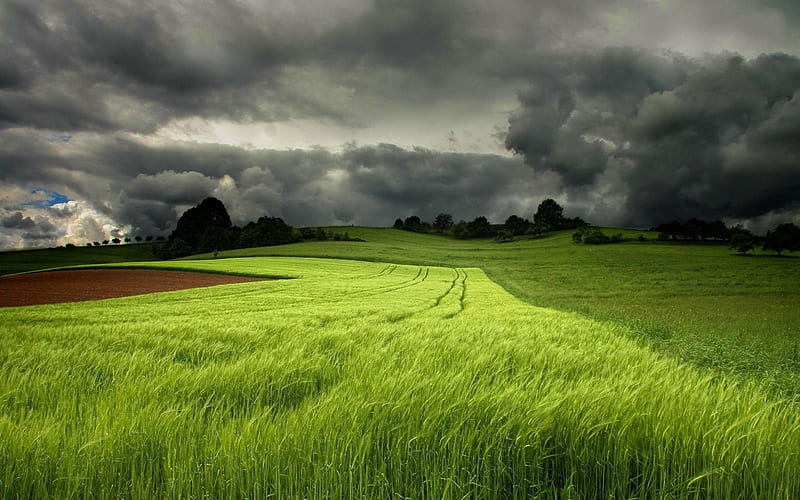 storm-clouds-over-the-green-field, storm, clouds, green, field, HD wallpaper