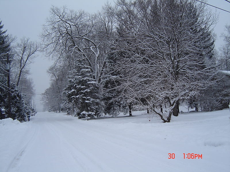 snowy street, nature, snow, winter, cold, HD wallpaper