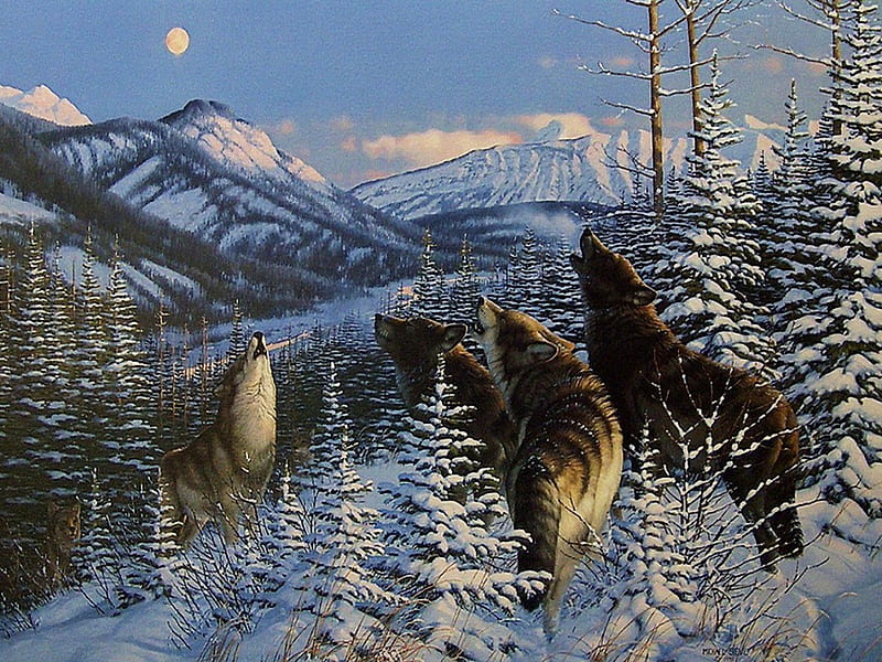 Howling, art, luminos, persis clayton weir, painting, wolf, pictura, winter, HD wallpaper