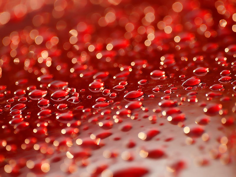 drops, surface, red, HD wallpaper