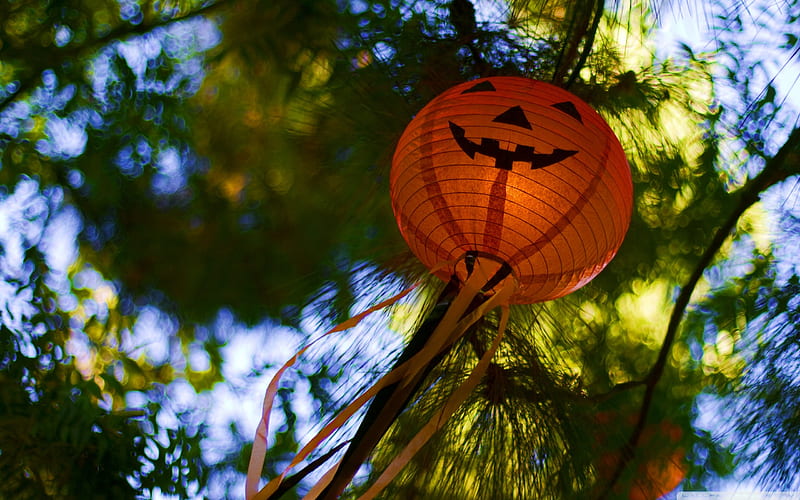 Halloween lanternes-Happy Halloween, HD wallpaper