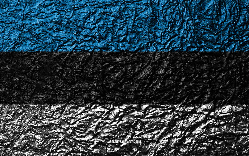 Flag of Estonia stone texture, waves texture, Estonia flag, national symbol, Estonia, Europe, stone background, HD wallpaper