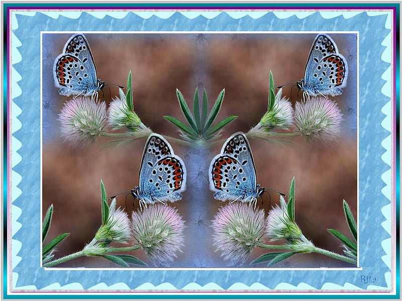 A VISION IN BLUE., blue frame, flowers, merged, butterflies, HD wallpaper