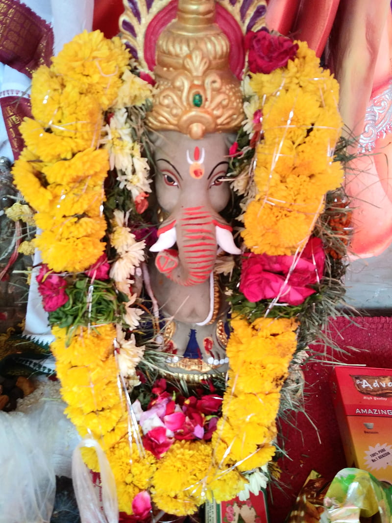 Ganesh, lord, god, idol, bappa, clay ganapathi, go green, HD phone wallpaper