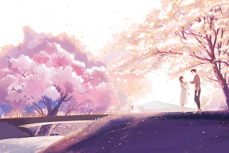 anime couple, cherry blossom, romance, river, bridge, cat, Anime, HD wallpaper