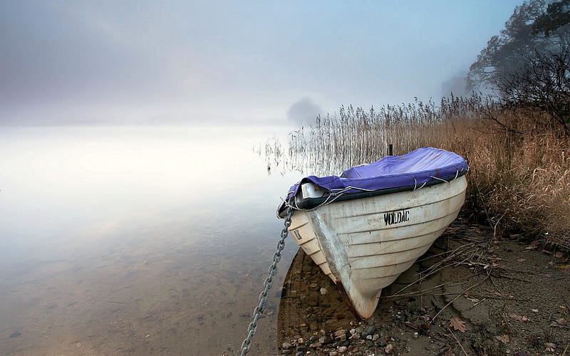 Row Boat on Shore, Boat, Shore, Fog, Marsh, HD wallpaper