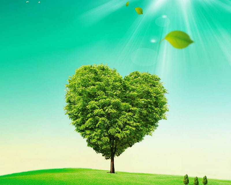Heart tree, tree, green, heart, leaf, HD wallpaper