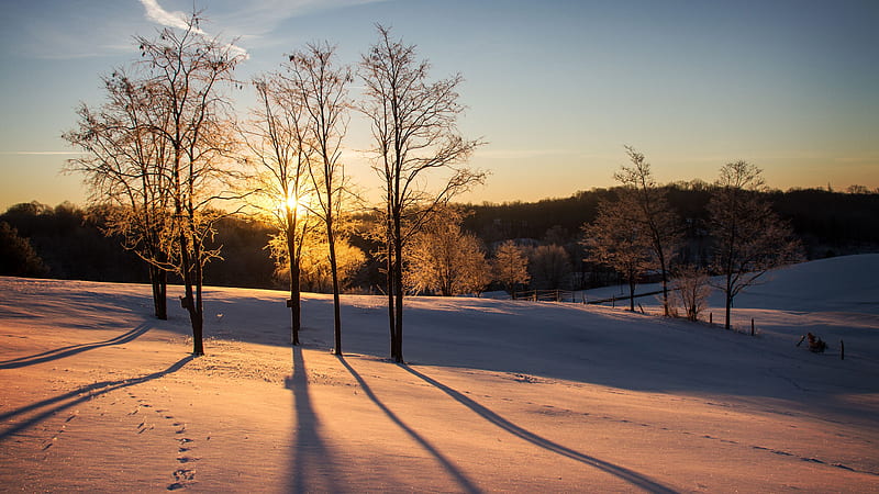 Snowy Field, graphy, sunset, snow, field, HD wallpaper | Peakpx