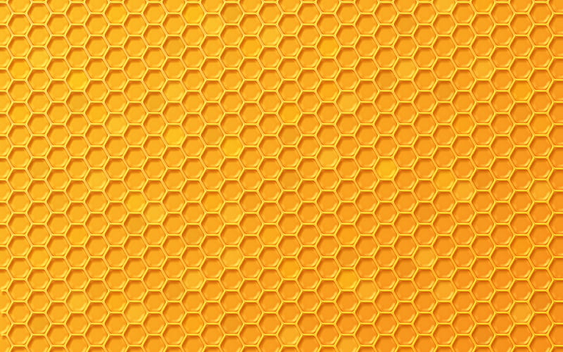 honeycomb texture, honey, honeycomb android, HD wallpaper