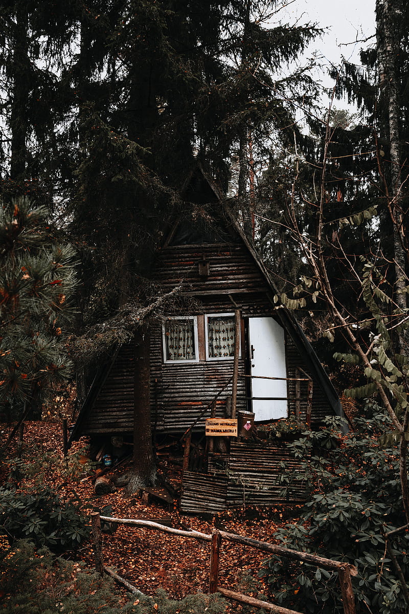 Cabaña abandonada, profundo, bosque, Fondo de pantalla de teléfono HD |  Peakpx