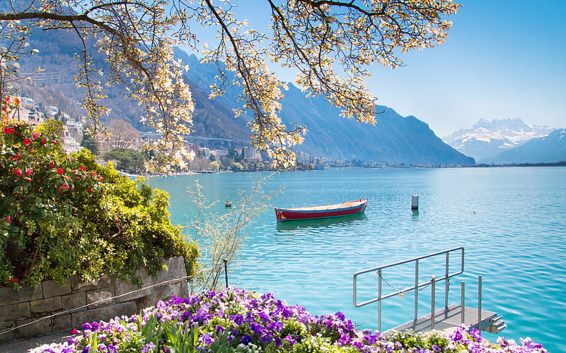 Lake Geneva, Montreux, Alps, morning, beautiful lake, flowers, mountain landscape, Montreux cityscape, Switzerland, HD wallpaper
