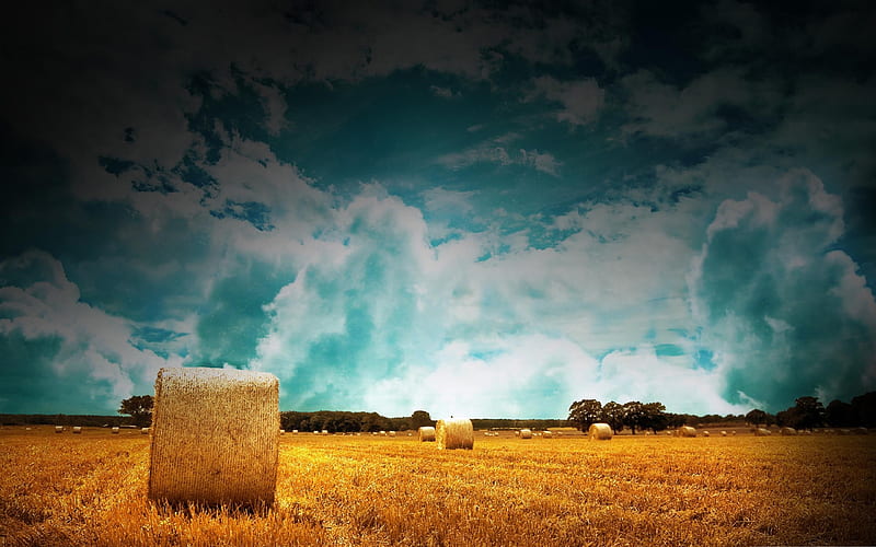 straw bales on farmland-wonderful natural scenery, HD wallpaper