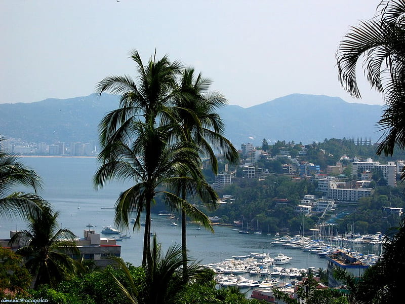 Acapulco mexico, acapulco, guay, méjico, Fondo de pantalla HD | Peakpx