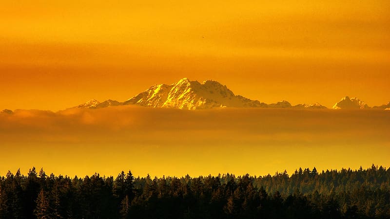The Brothers mountain, Olympic National Park, Washington, trees, landscape, golden hour, sunset, usa, HD wallpaper