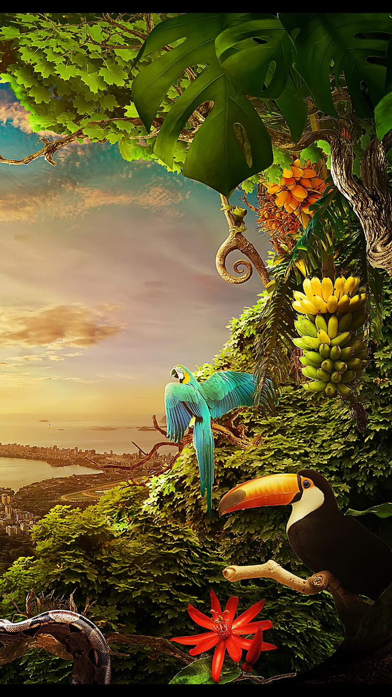 Nature, banana, bird, city, cloud, flower, fruit, sky, tree, HD phone wallpaper
