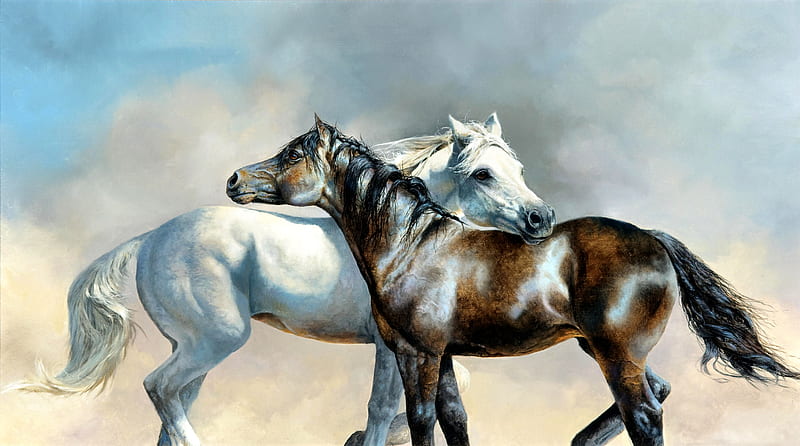 Bay and Gray - Horses , art, painting, wide screen, equine, bonito, horse, artwork, animal, HD wallpaper