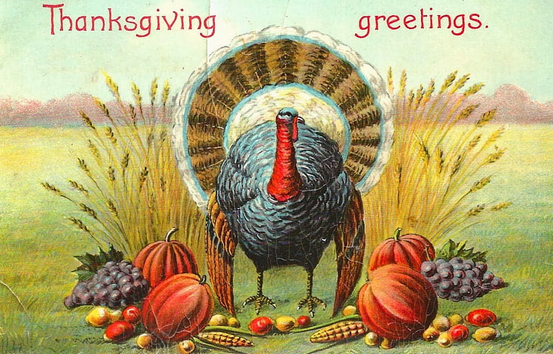 Thanksgiving Greeting, grapes, turkey, corn cob, painting, cor, artwork, pumpkins, vintage, HD wallpaper