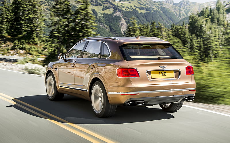 Bentley Bentayga, 2017 luxury SUVs bronze, brown Bentayga, new cars, British cars, Bentley, HD wallpaper