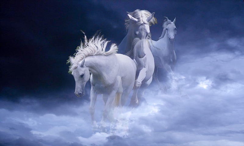 Spirit Horses, Digital, horses, enchanting, dreamy, blue and white ...