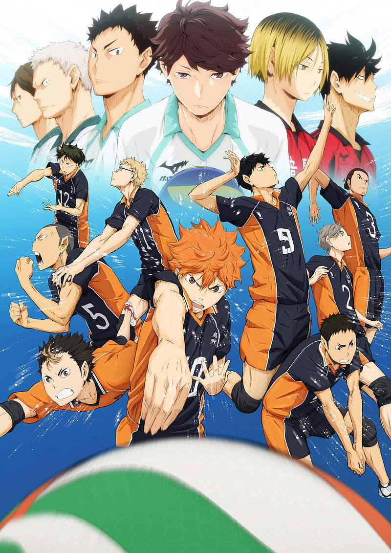 Haikyuu Anime, all characters, anime, HD phone wallpaper