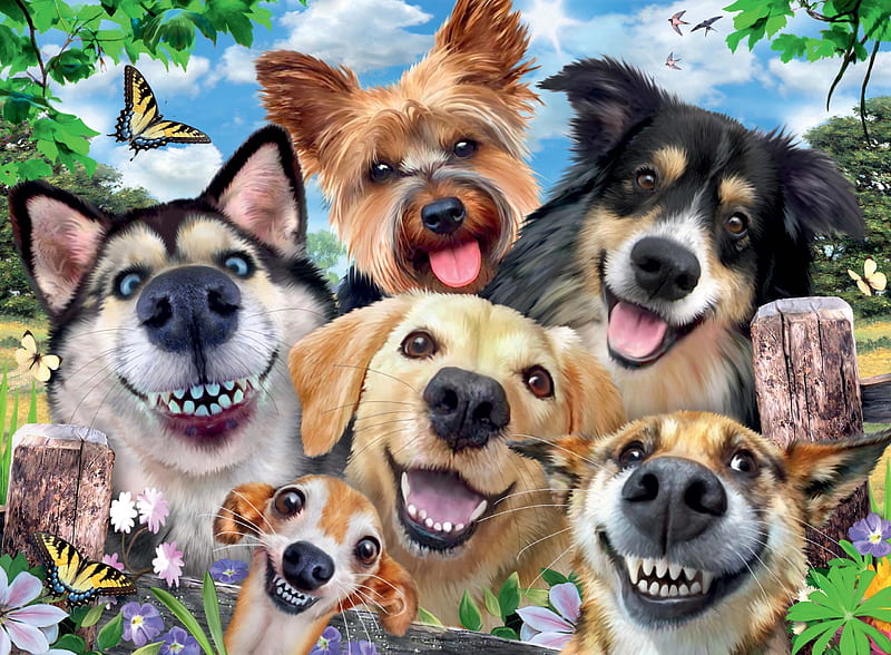 Selfie with Friends, cute, friend, animals, dog, nature, HD wallpaper | Peakpx Selfie with Friends, cute, friend, animals, dog, nature, HD wallpaper | Peakpx