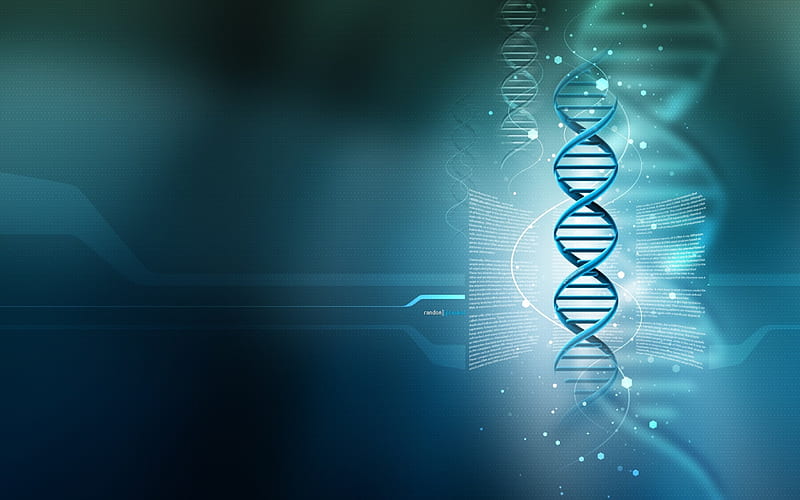 DNA Double Helix, gene, biology, double helix, helix, bonito, genome, abstract, dna, blue, HD wallpaper