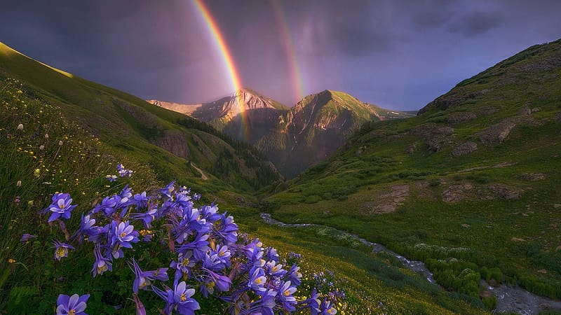 Columbine and Double Rainbow, Colorado, rocks, mountains, blossoms, wildflowers, landscape, usa, HD wallpaper