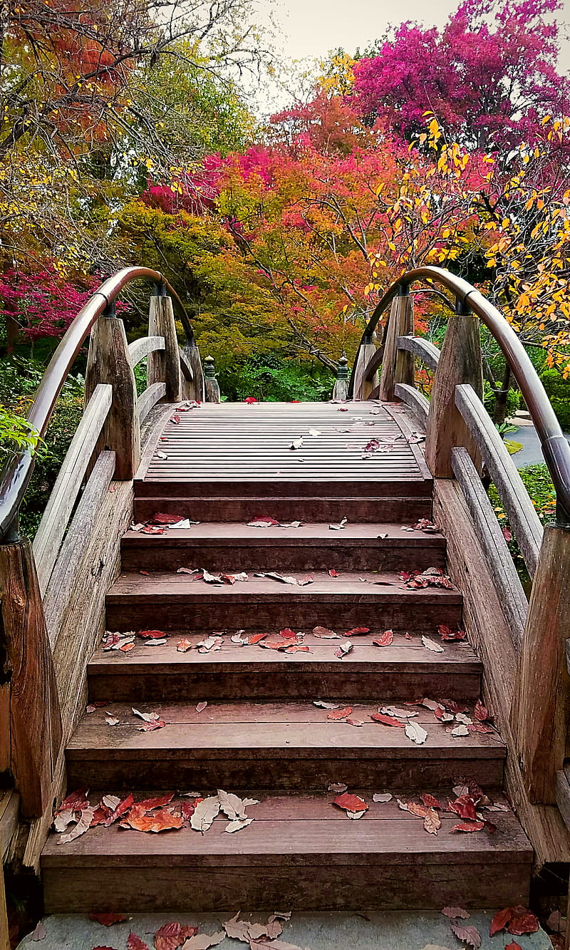 fall, autumn, bridge, leaves, stairs, HD phone wallpaper