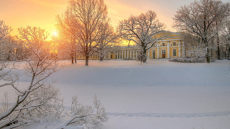 Russia Saint Petersburg Sunset Snow Field Nature, HD wallpaper