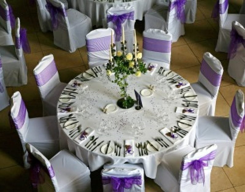 * Purple dinner *, dinner, table, romantic, ribbon, bonito, roses, purple, love, flowers, plate, chair, HD wallpaper
